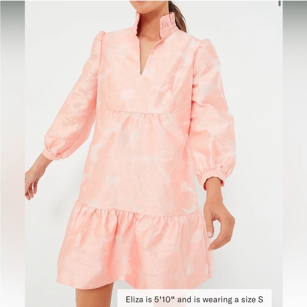 Tuckernuck Pink Mini Dress